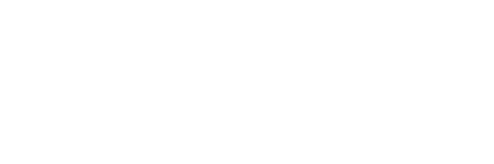 Perago: Empowering Businesses Through Digital Marketing and Web Development